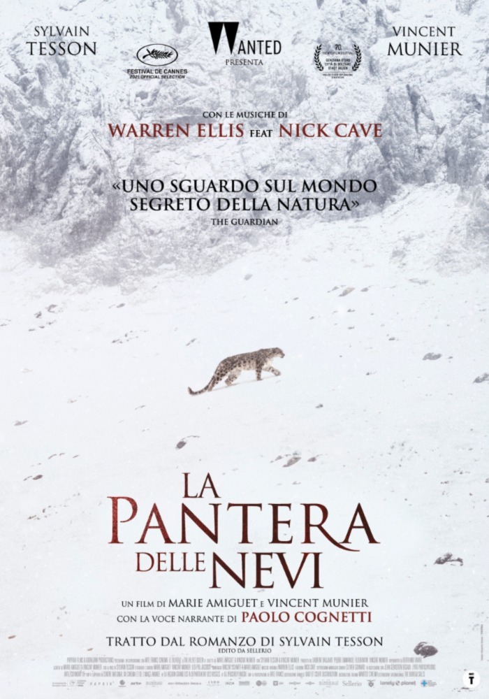 LA PANTERA DELLE NEVI