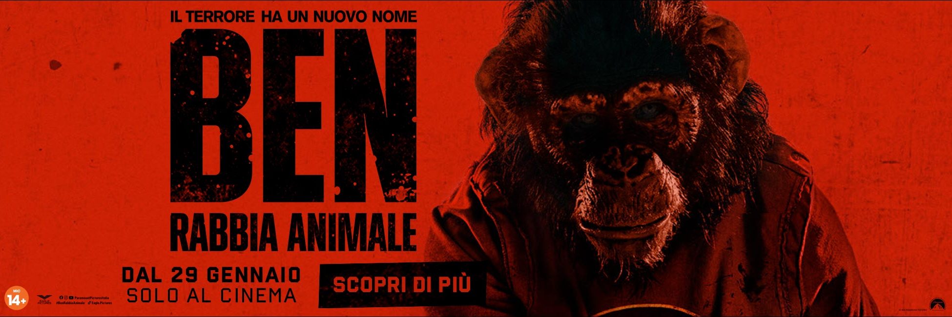 benrabbiaanimale][47242][REELWIDE][][