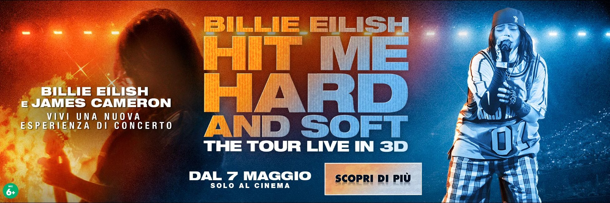 billieeilishhitmehardandsoftthetour][47343][REELWIDE][][