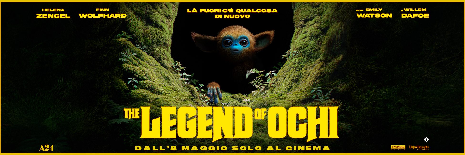 thelegendofochi][45503][REELWIDE][][